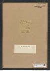 Triceratium coniferum Brightw. (de-Toni-Nr.: Genus 140) Zeichnungen Sammlung Grunow Nr. 7502 (NHMW-BOT-W0376627)